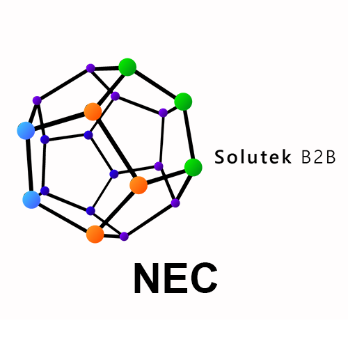configuración de computadores NEC