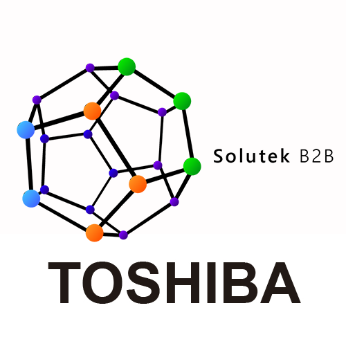 Configuracion de Computadores TOSHIBA