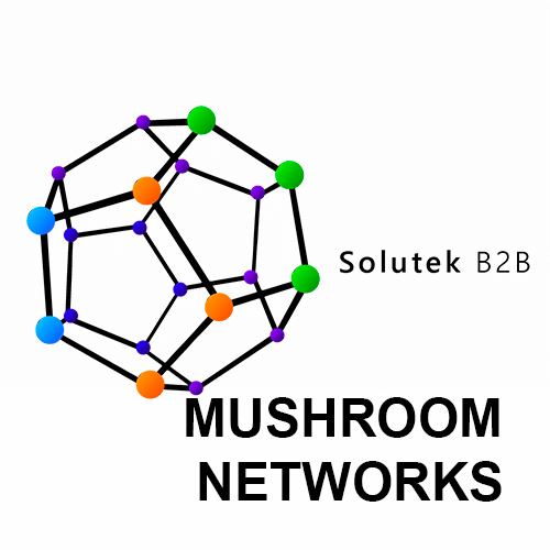 mantenimiento preventivo de routers Mushroom Networks