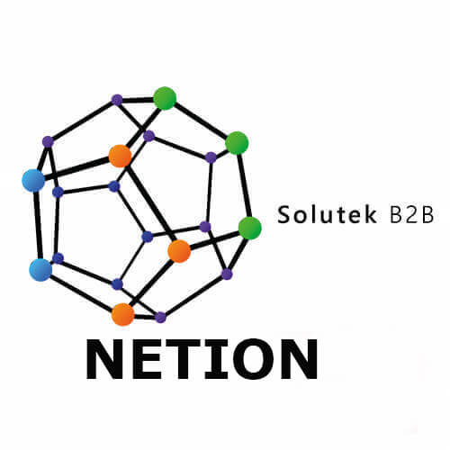 soporte técnico de UPS Netion